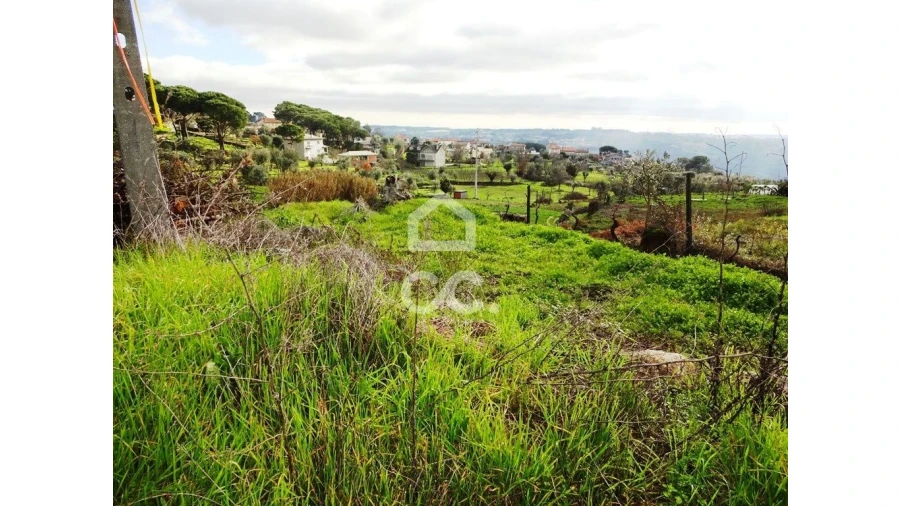 Terreno para Venda em São João de Lourosa Foto 5