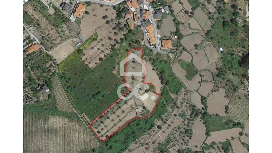 Terreno para Venda em São João de Lourosa Foto 9