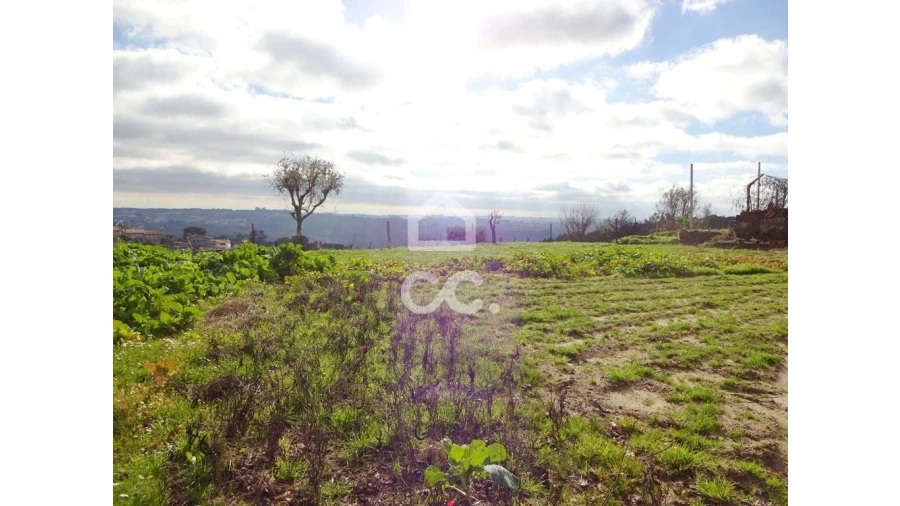 Terreno para Venda em São João de Lourosa Foto 6