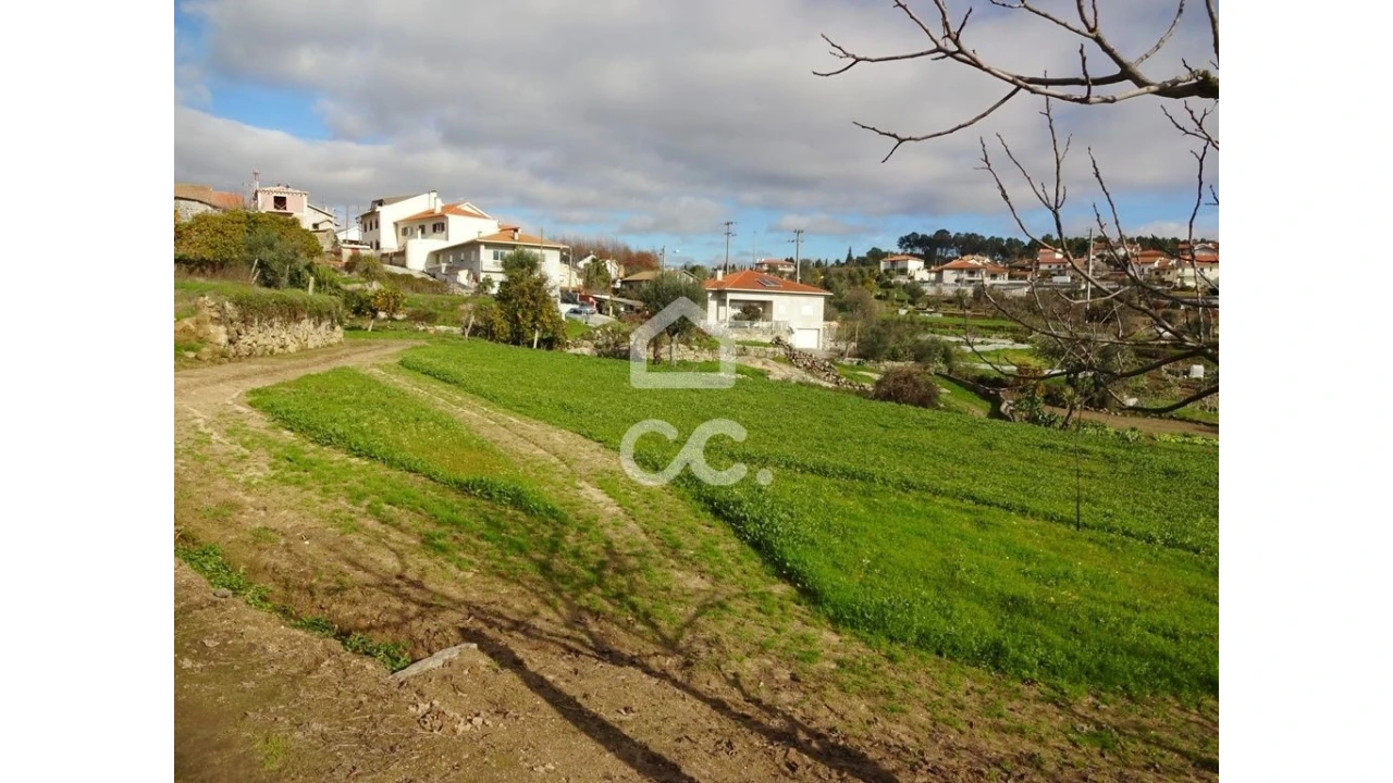 Terreno para Venda em São João de Lourosa Foto 4