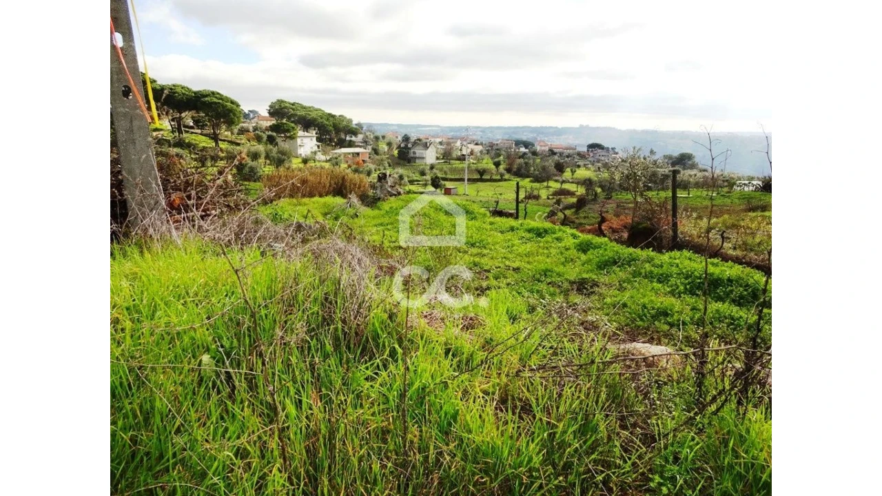Terreno para Venda em São João de Lourosa Foto 5