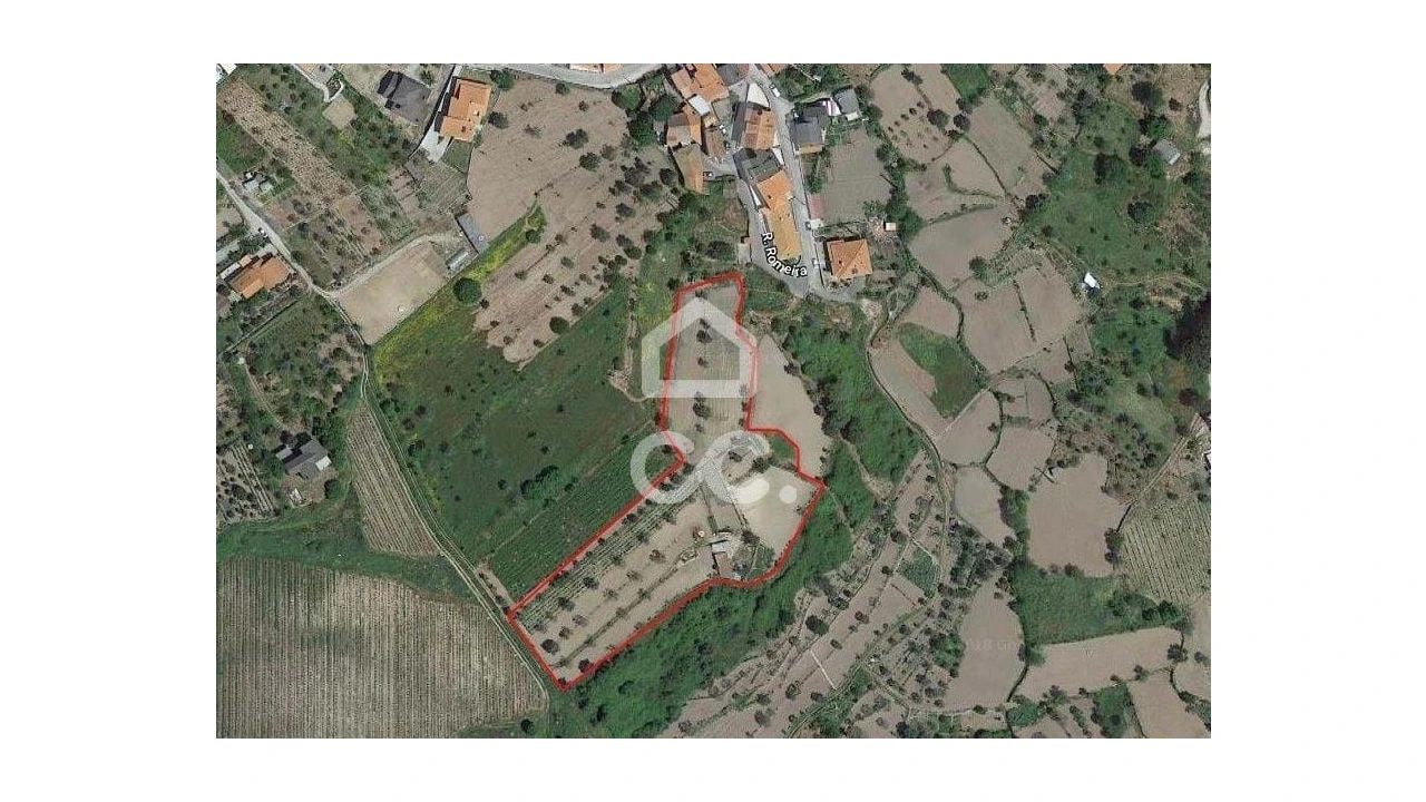 Terreno para Venda em São João de Lourosa Foto 9