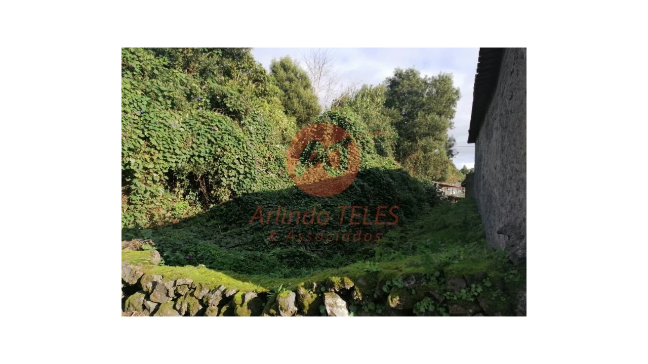 Terreno para Venda em São Mateus da Calheta Foto 14