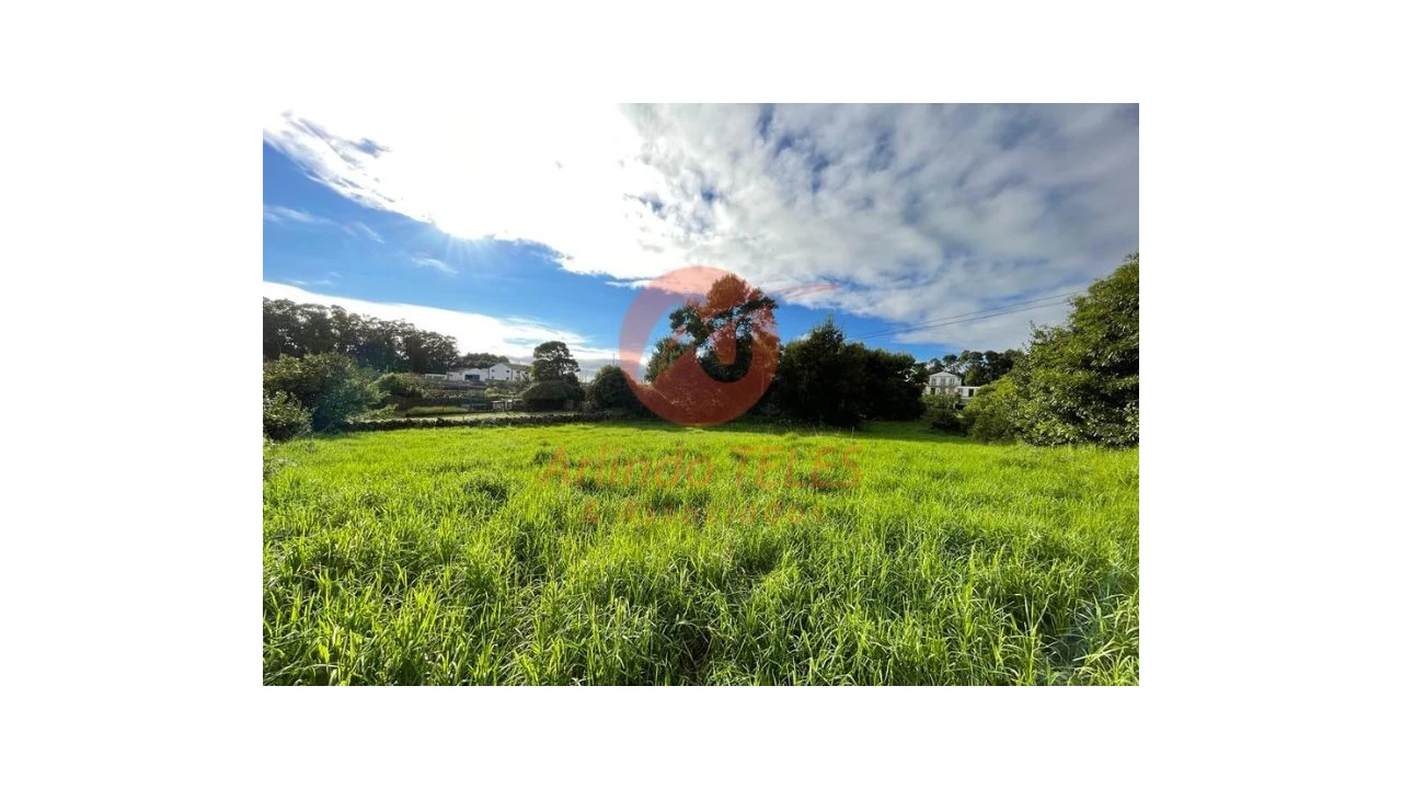 Terreno para Venda em São Mateus da Calheta Foto 3