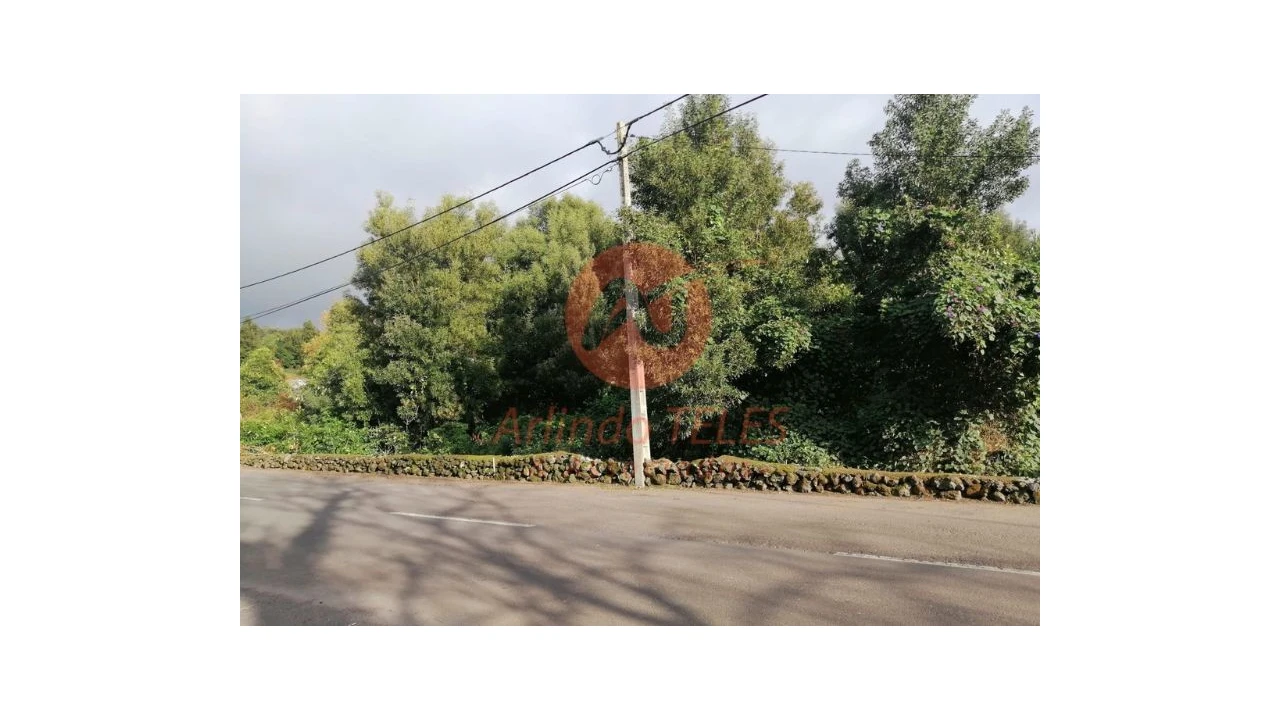 Terreno para Venda em São Mateus da Calheta Foto 4