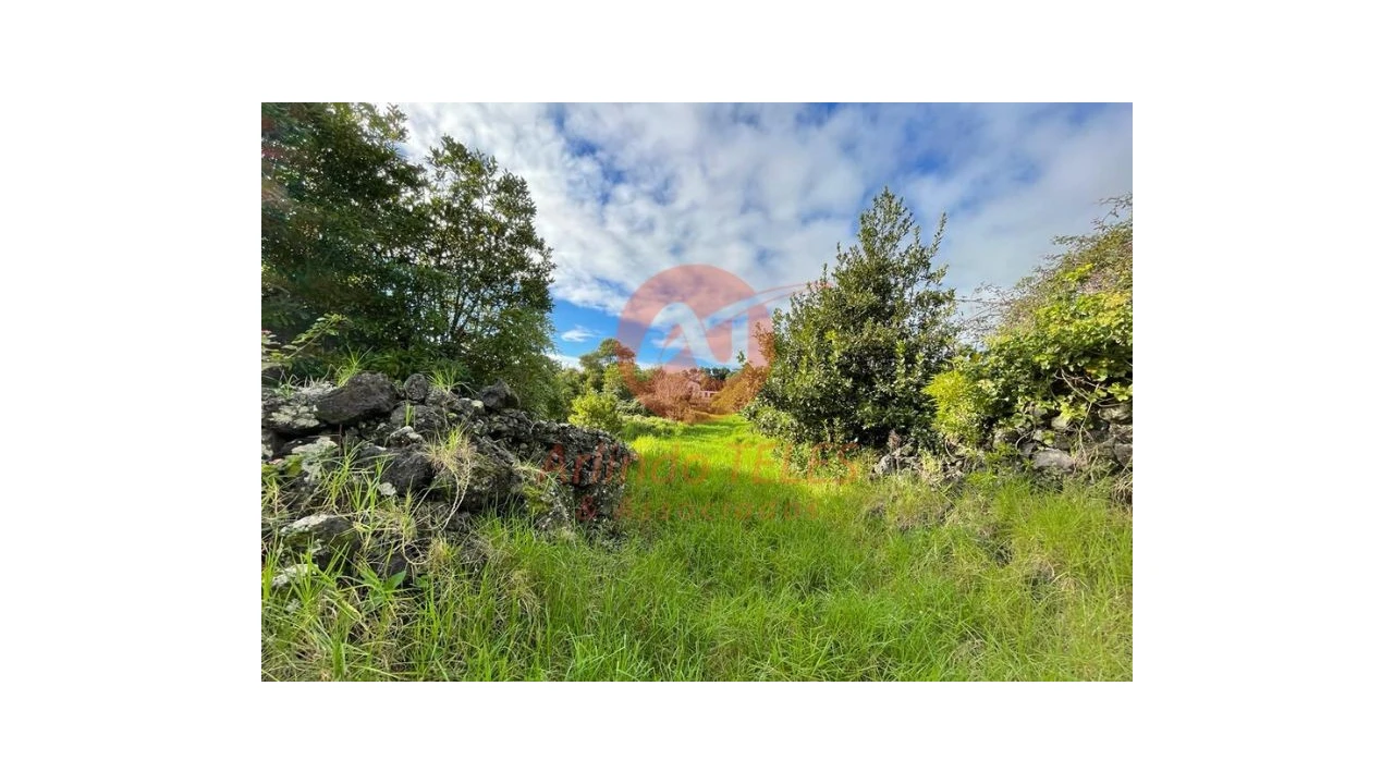 Terreno para Venda em São Mateus da Calheta Foto 28