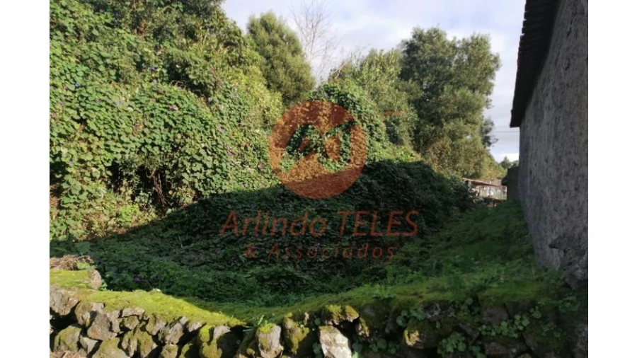 Terreno para Venda em São Mateus da Calheta Foto 14