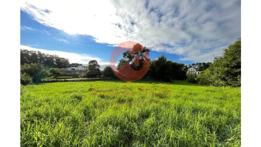 Terreno para Venda em São Mateus da Calheta Foto 27