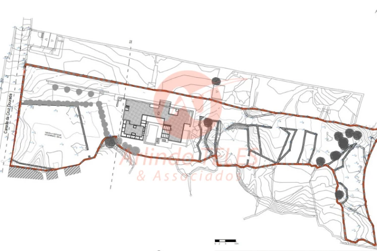 Terreno para Venda em São Mateus da Calheta Foto 38