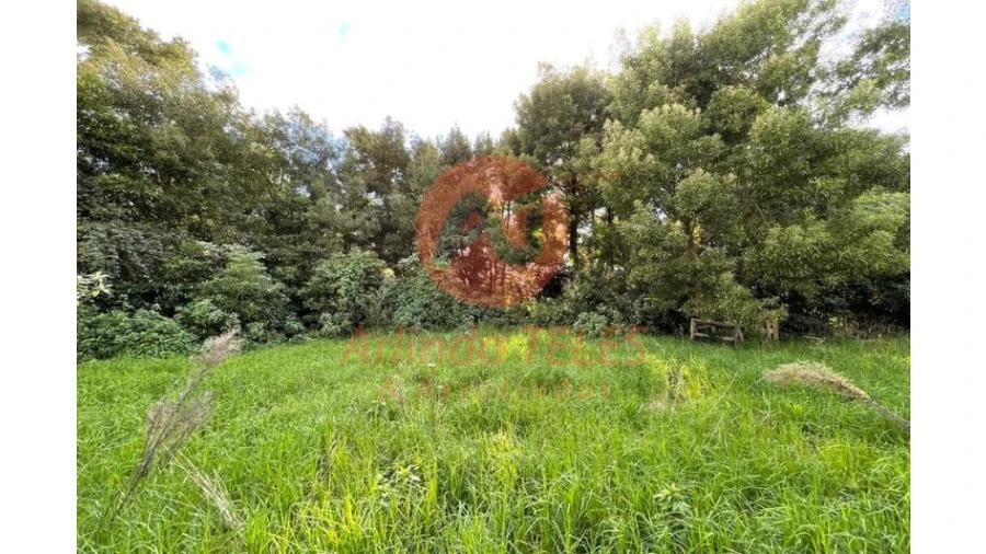 Terreno para Venda em São Mateus da Calheta Foto 17