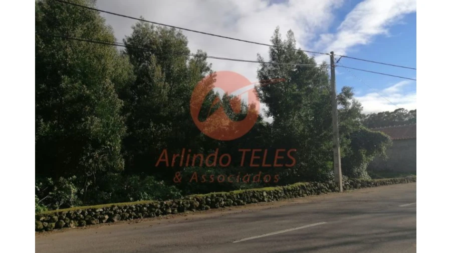 Terreno para Venda em São Mateus da Calheta Foto 8