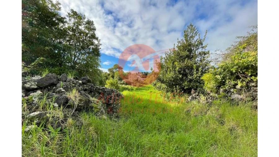 Terreno para Venda em São Mateus da Calheta Foto 28