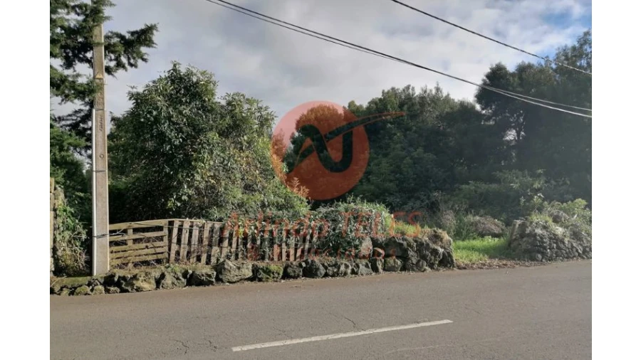 Terreno para Venda em São Mateus da Calheta Foto 9