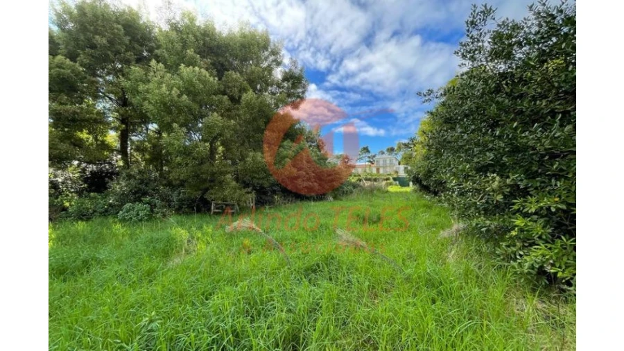 Terreno para Venda em São Mateus da Calheta Foto 16