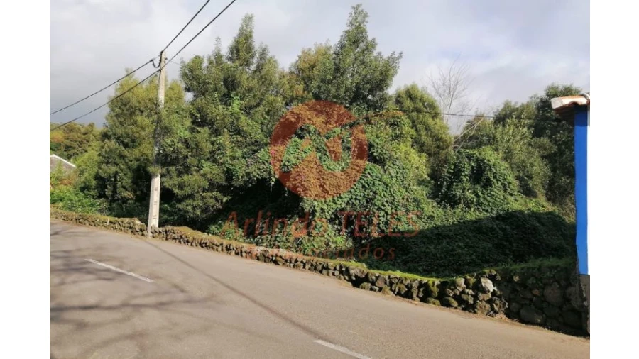 Terreno para Venda em São Mateus da Calheta Foto 13
