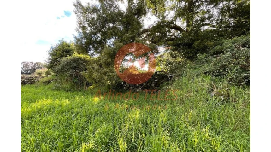 Terreno para Venda em São Mateus da Calheta Foto 22