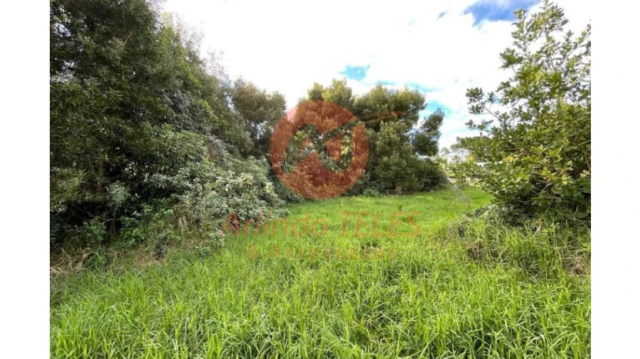 Terreno para Venda em São Mateus da Calheta Foto 18