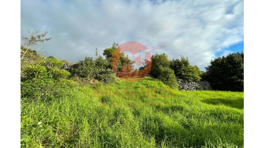 Terreno para Venda em São Mateus da Calheta Foto 25