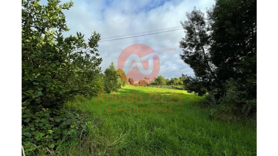 Terreno para Venda em São Mateus da Calheta Foto 19