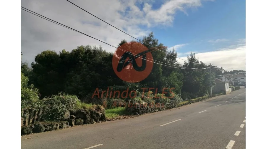 Terreno para Venda em São Mateus da Calheta Foto 10