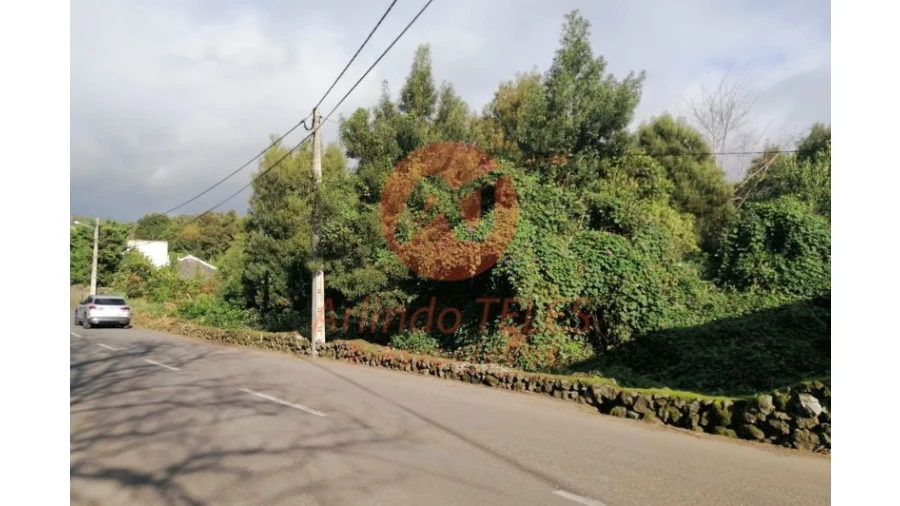 Terreno para Venda em São Mateus da Calheta Foto 12