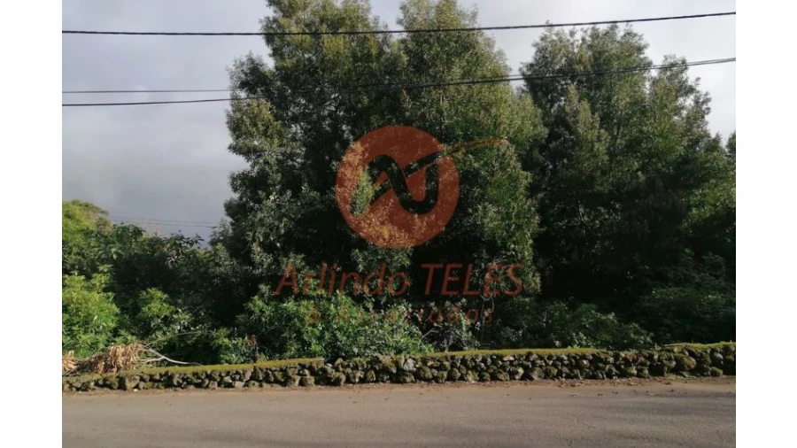 Terreno para Venda em São Mateus da Calheta Foto 7