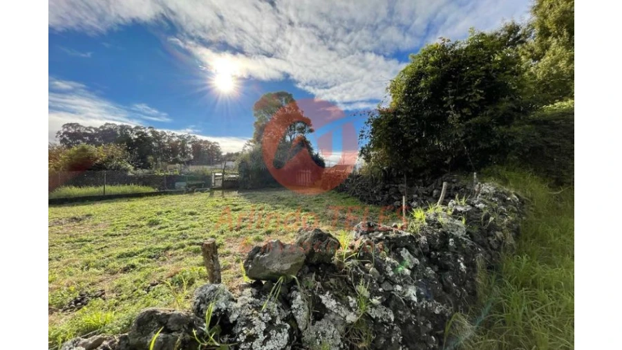 Terreno para Venda em São Mateus da Calheta Foto 23