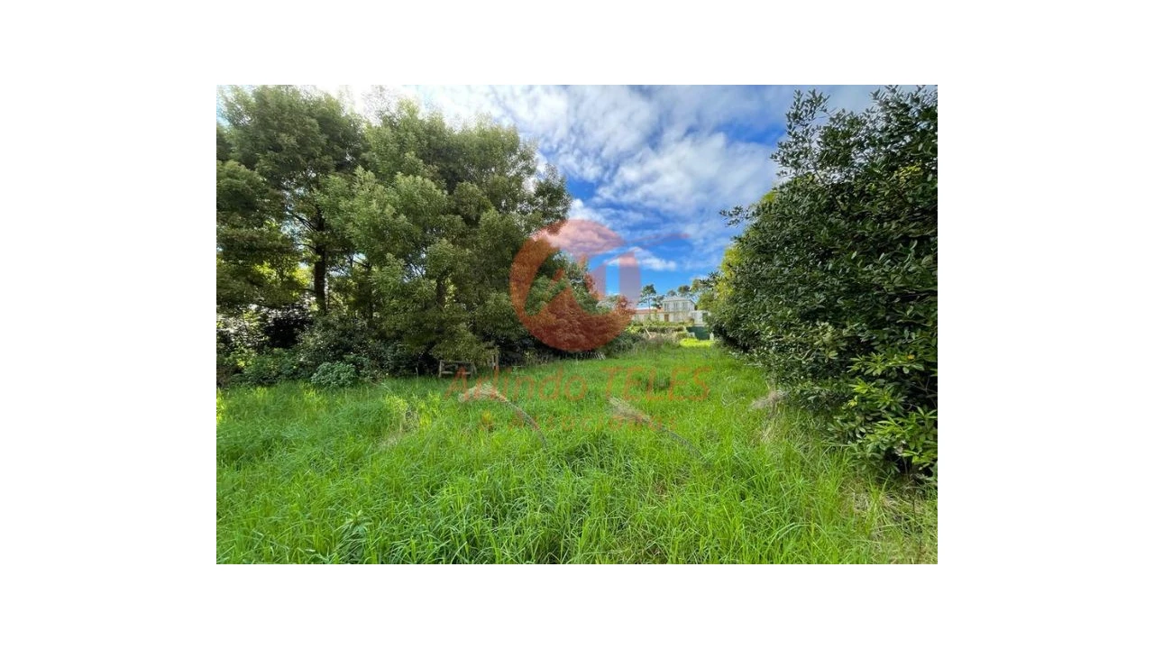Terreno para Venda em São Mateus da Calheta Foto 16