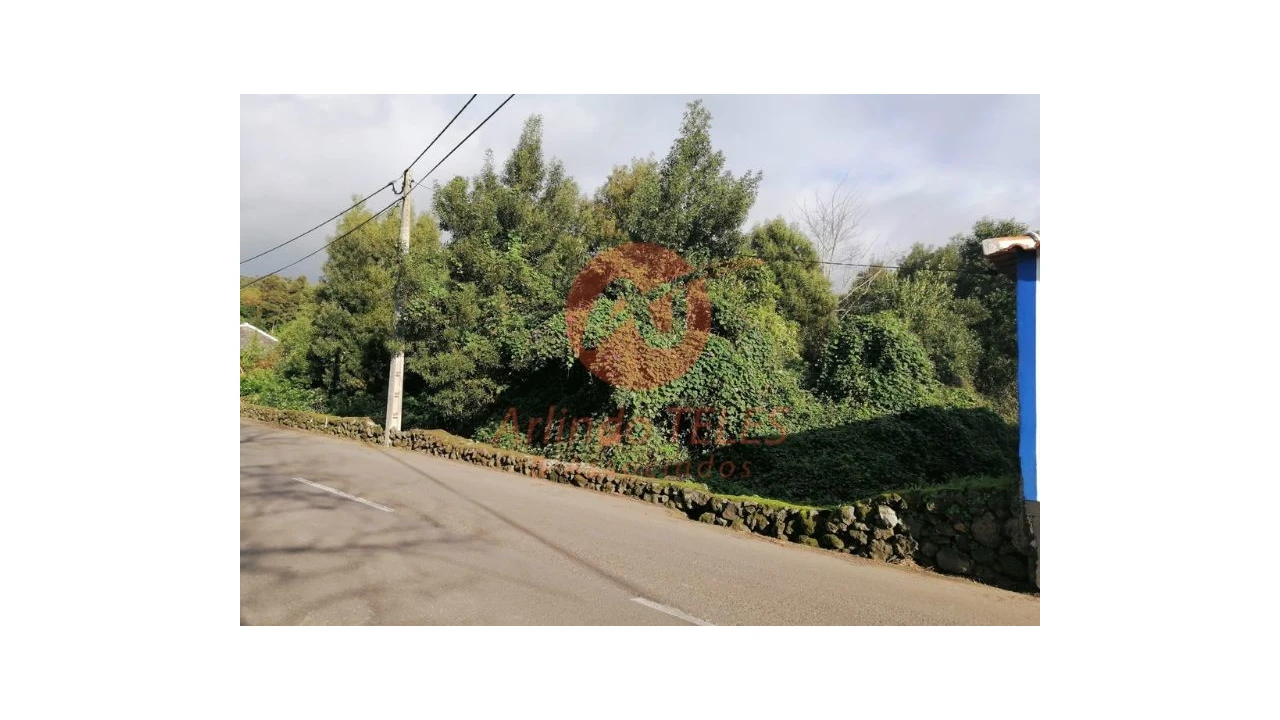 Terreno para Venda em São Mateus da Calheta Foto 13