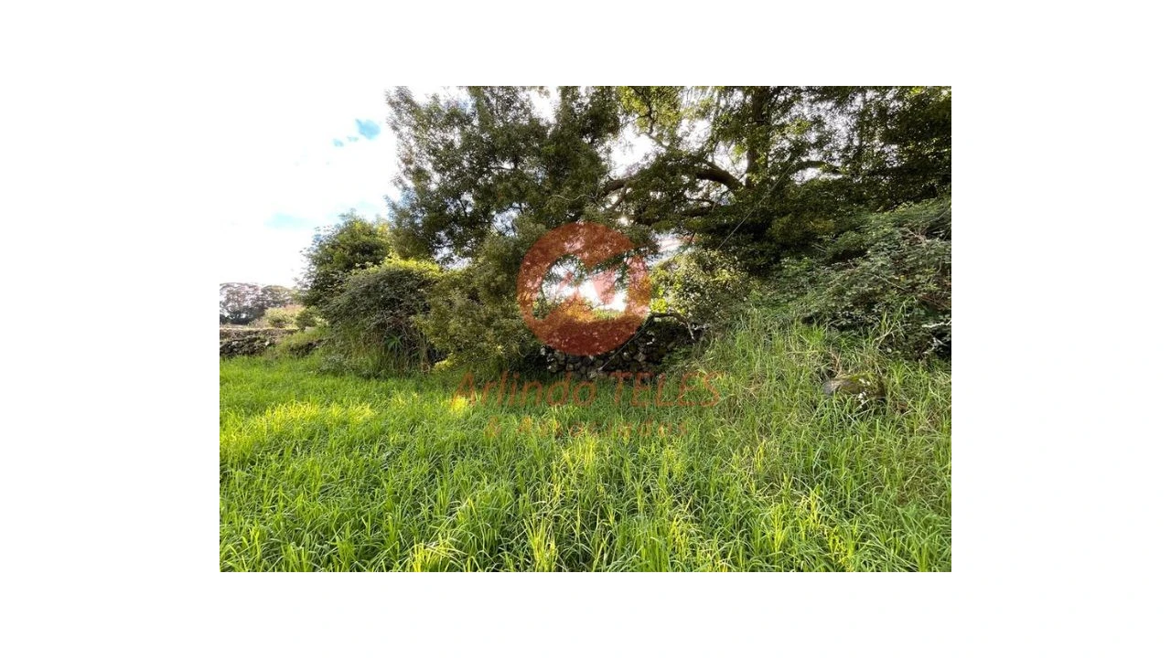 Terreno para Venda em São Mateus da Calheta Foto 22