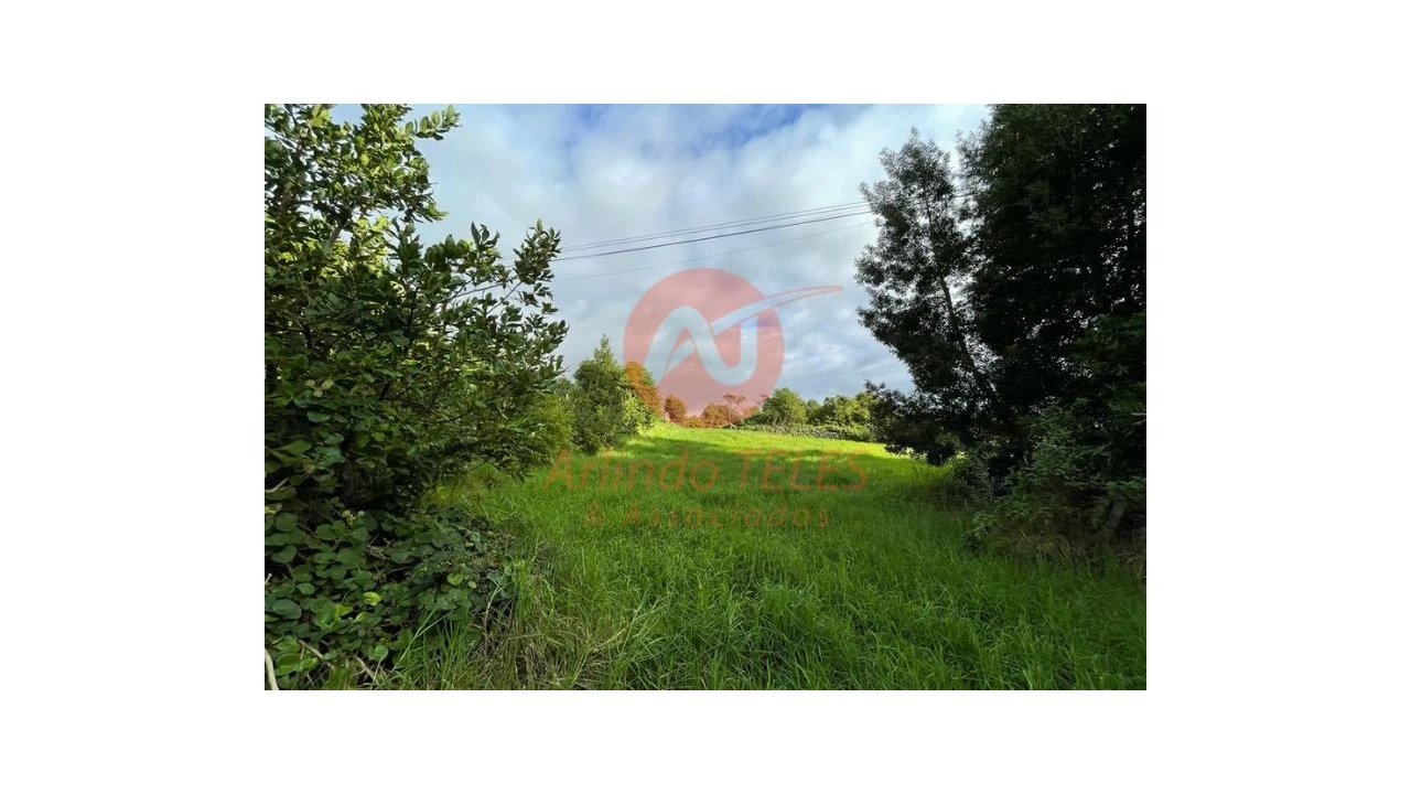 Terreno para Venda em São Mateus da Calheta Foto 19