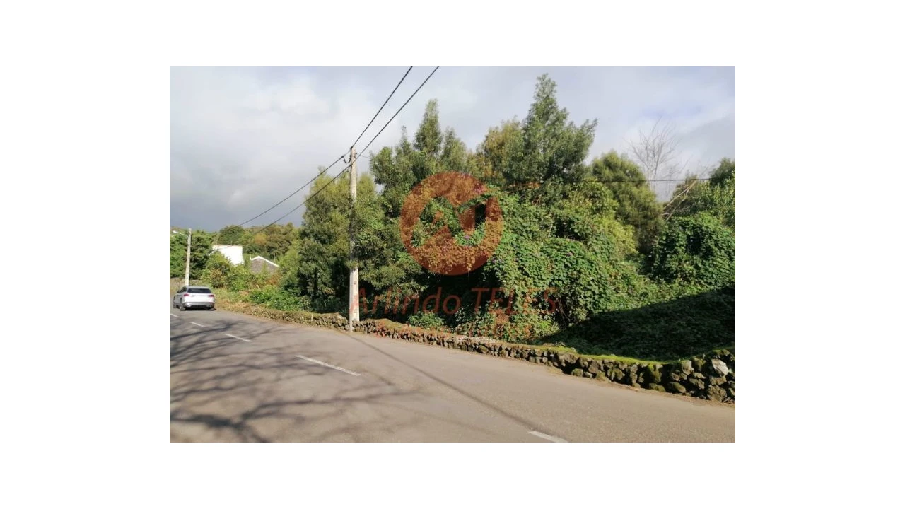 Terreno para Venda em São Mateus da Calheta Foto 12