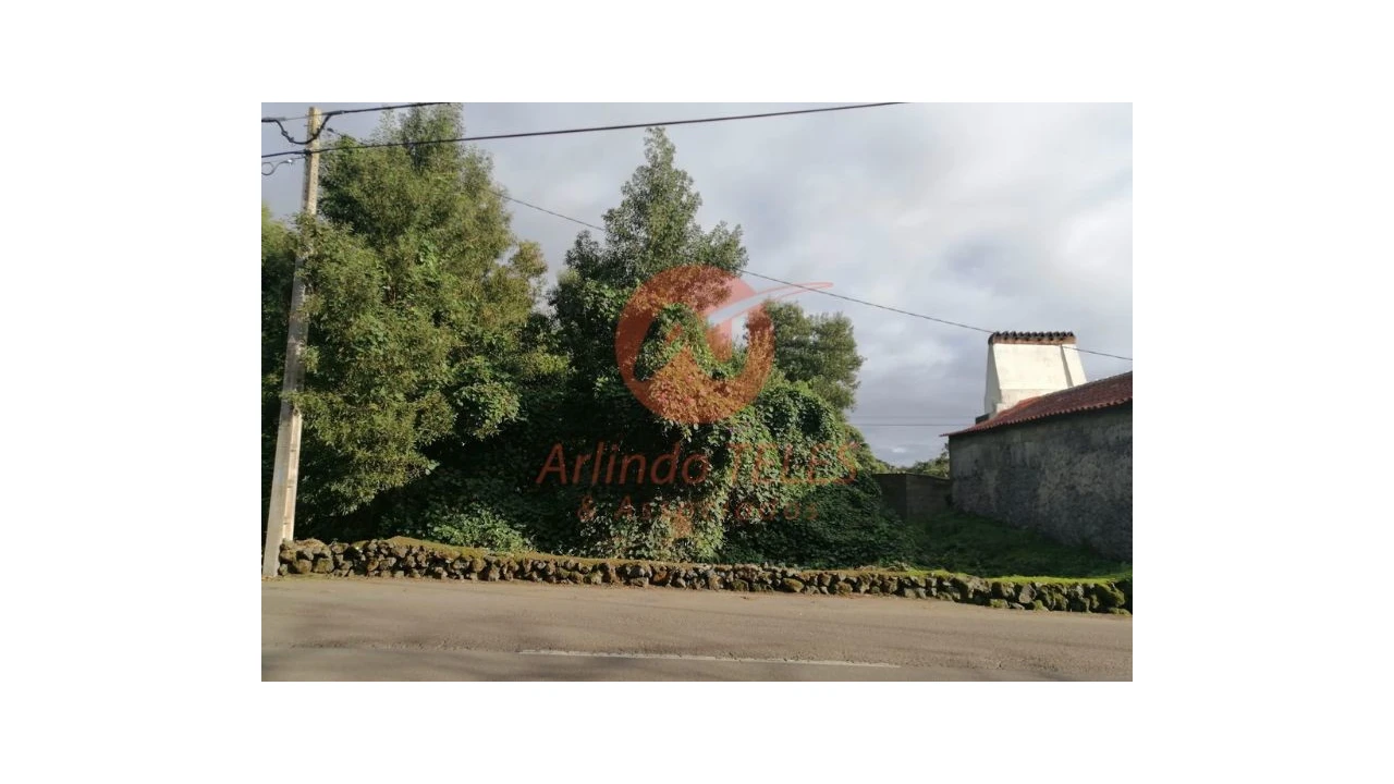Terreno para Venda em São Mateus da Calheta Foto 5