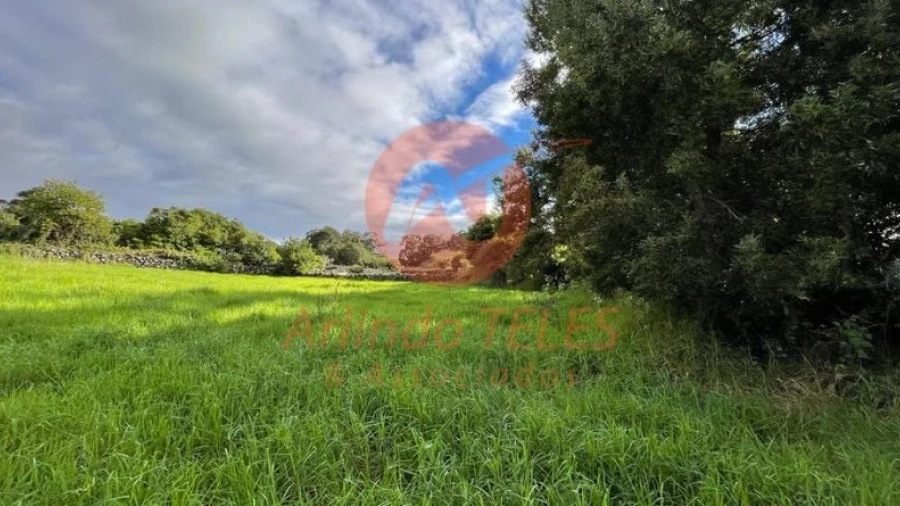 Terreno para Venda em São Mateus da Calheta