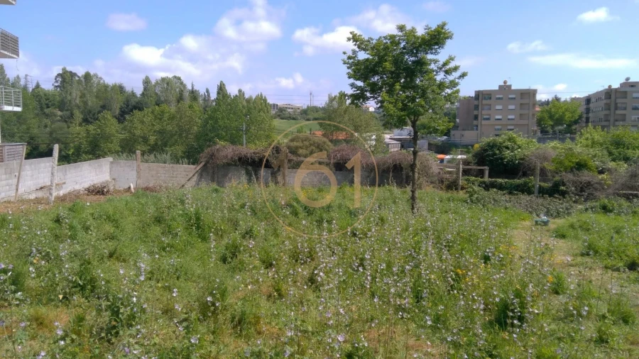 Terreno para Venda em Custoias Foto 2