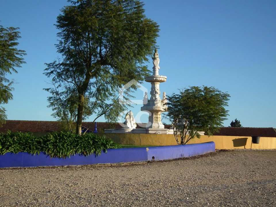 Terreno para Venda em Roliça Foto 14