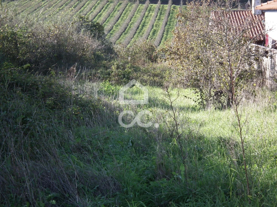 Terreno para Venda em Roliça Foto 1