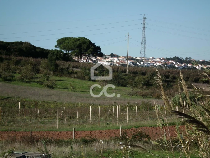 Terreno para Venda em Roliça Foto 5