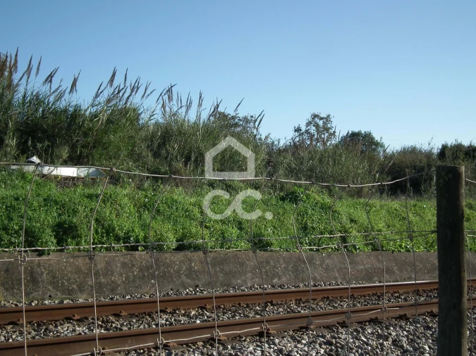 Terreno para Venda em Roliça Foto 3