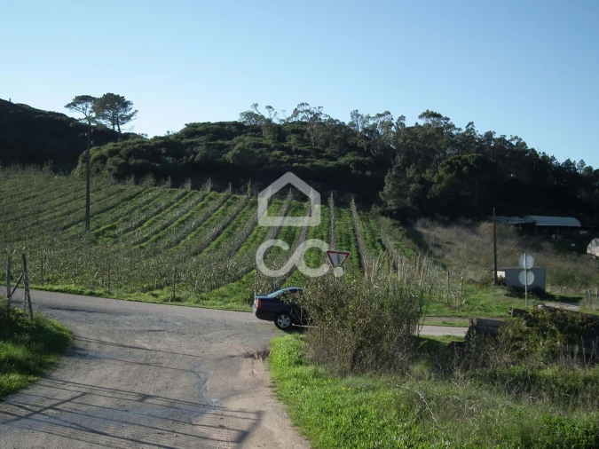 Terreno para Venda em Roliça Foto 4