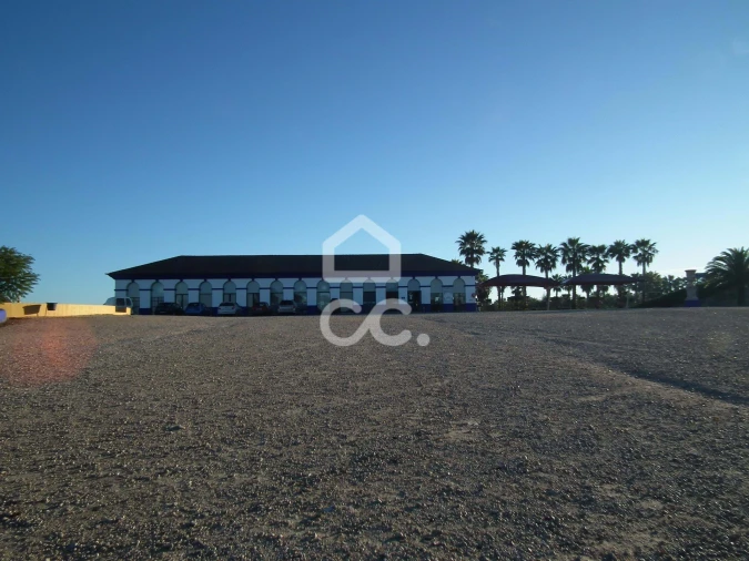 Terreno para Venda em Roliça Foto 13