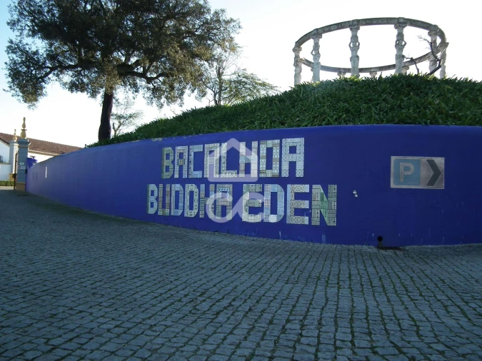 Terreno para Venda em Roliça Foto 16