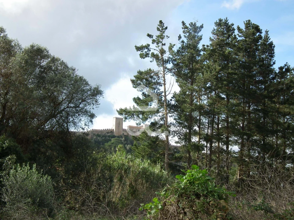 Terreno para Venda em Roliça Foto 8