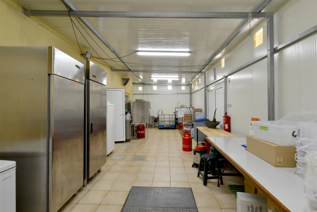 Negócio para Venda em Silveira Foto 35