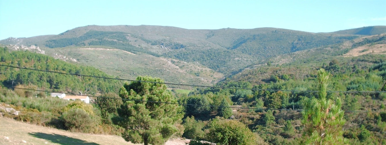 Terreno para Venda em Gouveia (São Pedro e São Julião) Foto 6