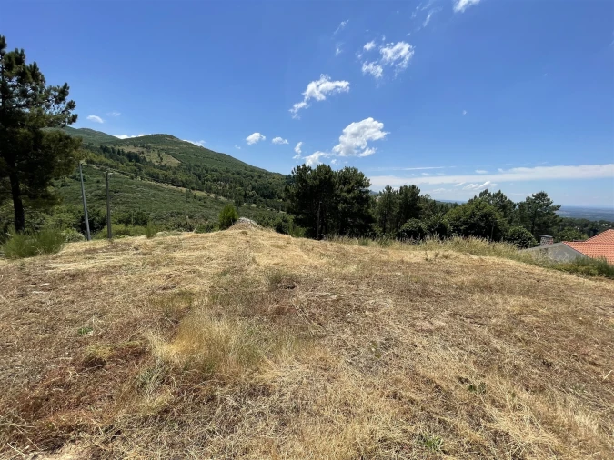 Terreno para Venda em Gouveia (São Pedro e São Julião) Foto 4