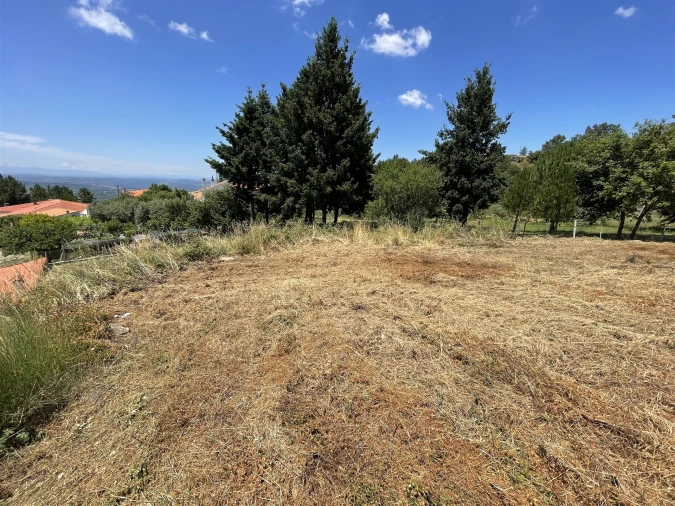 Terreno para Venda em Gouveia (São Pedro e São Julião) Foto 5