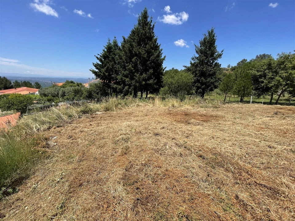 Terreno para Venda em Gouveia (São Pedro e São Julião) Foto 5