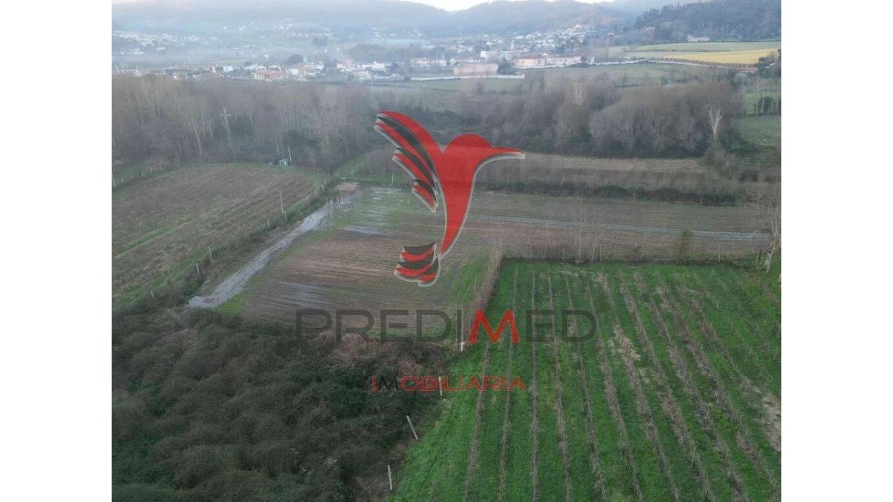 Terreno para Venda em Briteiros Santo Estêvão e Donim Foto 8