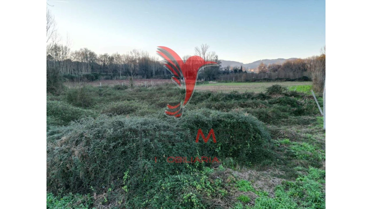 Terreno para Venda em Briteiros Santo Estêvão e Donim Foto 6